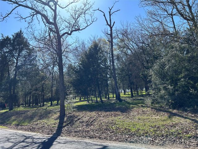 TBD SHENANDOAH Drive Lot 153-R, Streetman, TX 75859