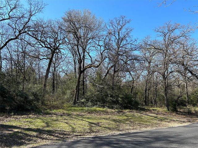 TBD SHENANDOAH Drive Lot 153-R, Streetman, TX 75859
