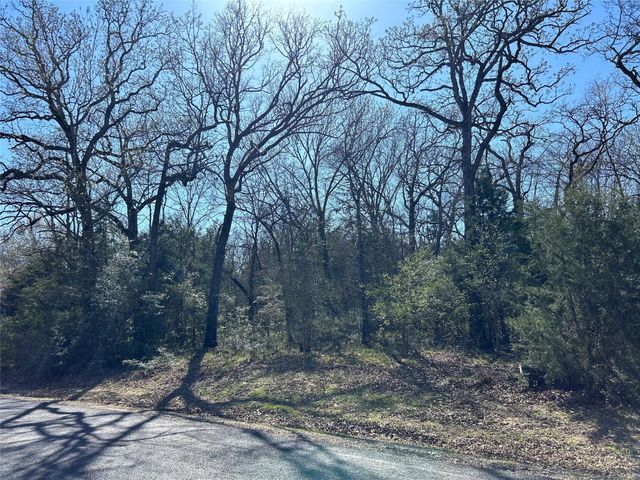TBD SHENANDOAH Drive Lot 153-R, Streetman, TX 75859