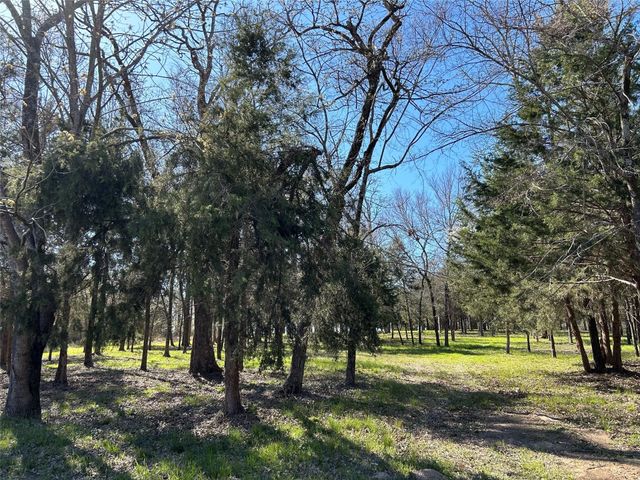 TBD SHENANDOAH Drive Lot 153-R, Streetman, TX 75859