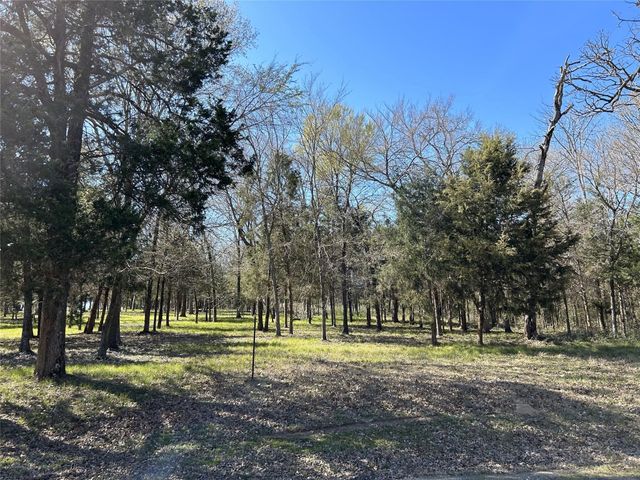 TBD SHENANDOAH Drive Lot 153-R, Streetman, TX 75859