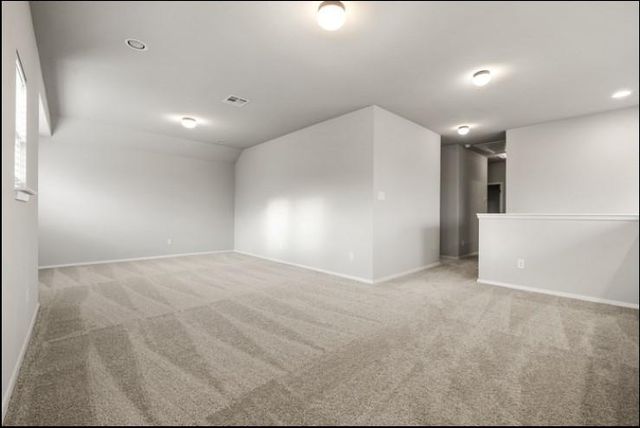 353 Spiny Lizard LN, San Marcos, TX 78666