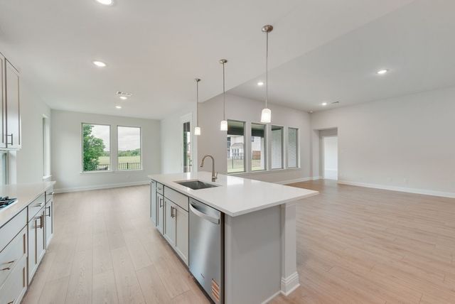 15008 Sagasta Court, Little Elm, TX 75068