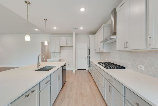 15008 Sagasta Court, Little Elm, TX 75068