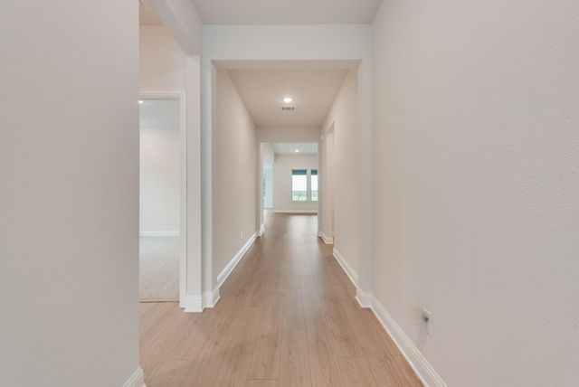 15008 Sagasta Court, Little Elm, TX 75068