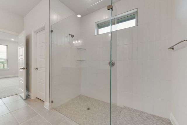 15008 Sagasta Court, Little Elm, TX 75068