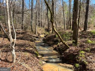 TRACT R3 Hulmes Chapel Road, Elberton, GA 30635