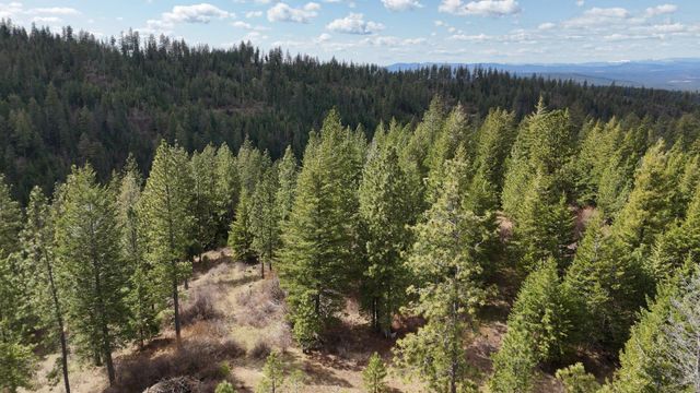 31xxx N South Jackson Rd, Elk, WA 99009