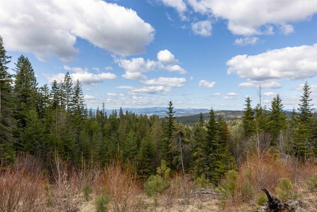 31xxx N South Jackson Rd, Elk, WA 99009