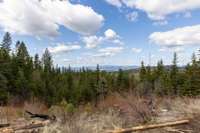 31xxx N South Jackson Rd, Elk, WA 99009