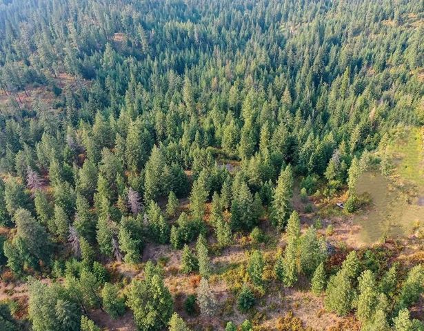 31xxx N South Jackson Rd, Elk, WA 99009