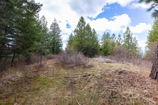 31xxx N South Jackson Rd, Elk, WA 99009