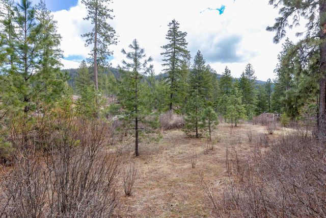 31xxx N South Jackson Rd, Elk, WA 99009