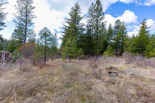 31xxx N South Jackson Rd, Elk, WA 99009