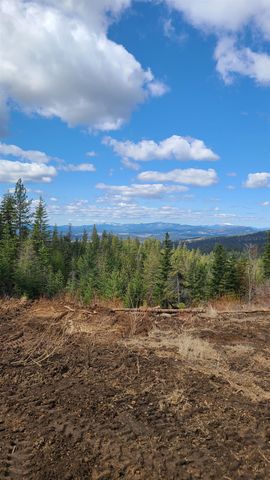 31xxx N South Jackson Rd, Elk, WA 99009