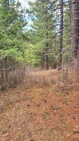 31xxx N South Jackson Rd, Elk, WA 99009