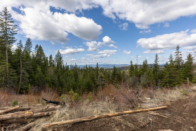 31xxx N South Jackson Rd, Elk, WA 99009