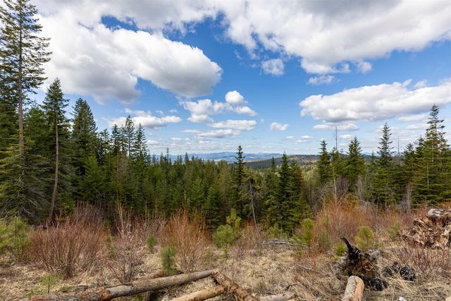 31xxx N South Jackson Rd, Elk, WA 99009