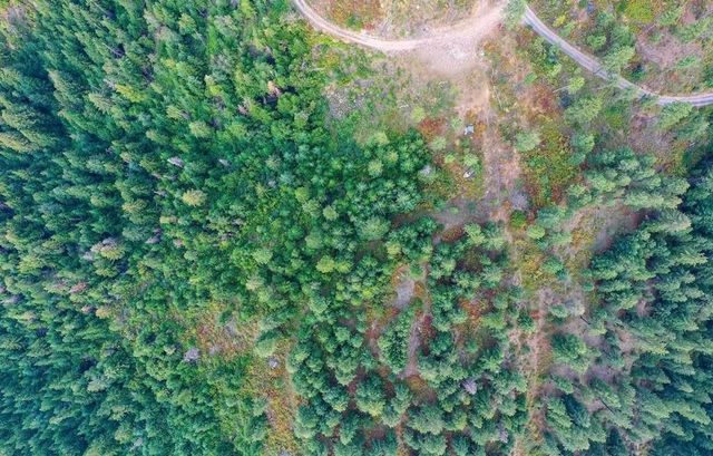 31xxx N South Jackson Rd, Elk, WA 99009