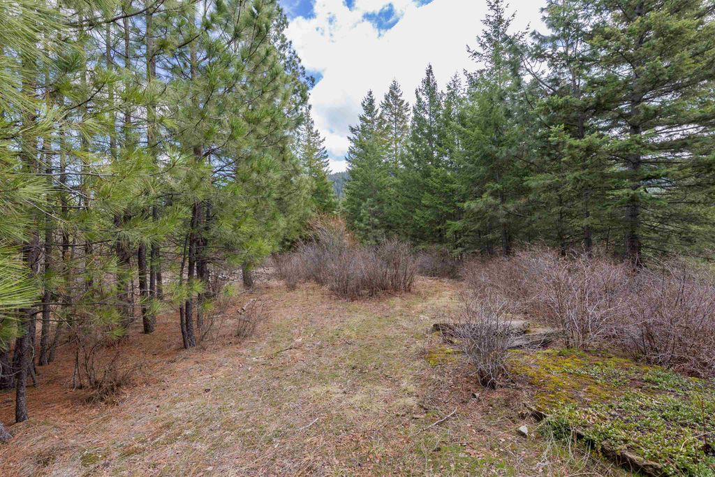 31xxx N South Jackson Rd, Elk, WA 99009