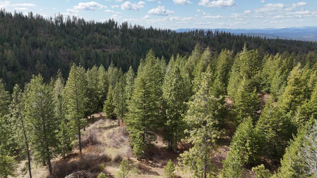31xxx N South Jackson Rd, Elk, WA 99009 photo 2