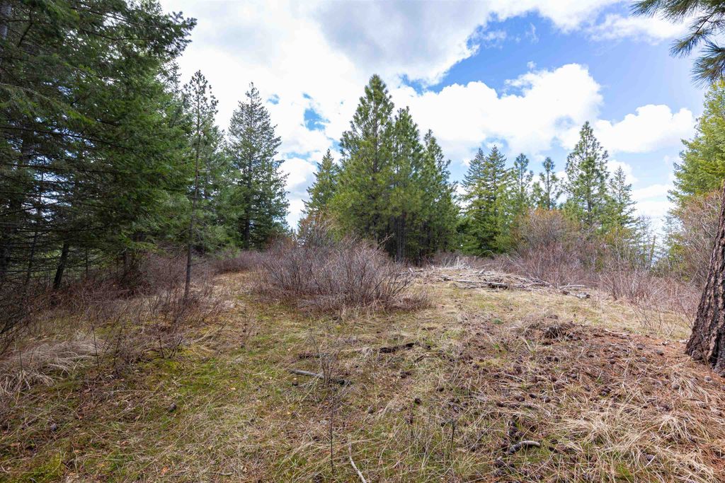 31xxx N South Jackson Rd, Elk, WA 99009 photo 16