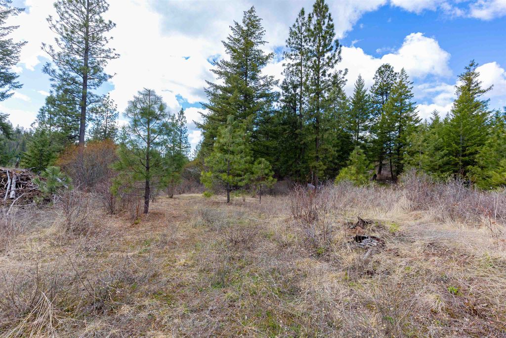 31xxx N South Jackson Rd, Elk, WA 99009 photo 21