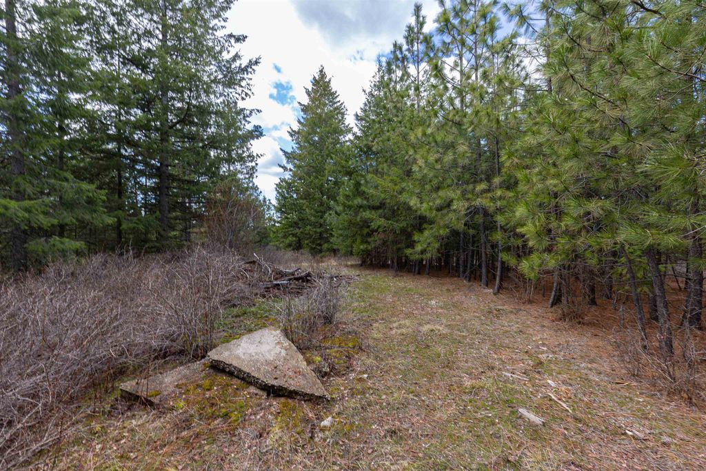 31xxx N South Jackson Rd, Elk, WA 99009 photo 4