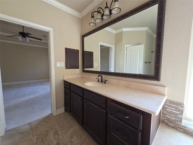 14 Jonquil Place, Tomball, TX 77375