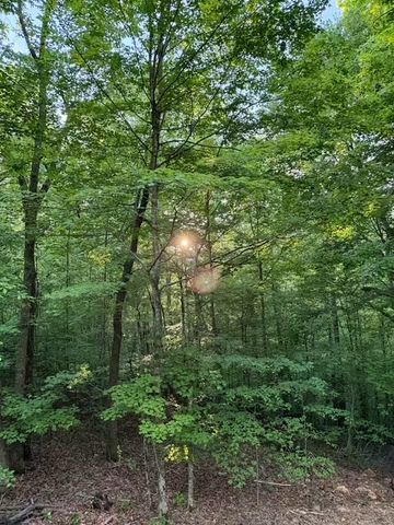 1080 Turkey Creek Boat Dock Rd, Tullahoma, TN 37388