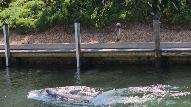 1300 N PORTOFINO DRIVE 406, Sarasota, FL 34242