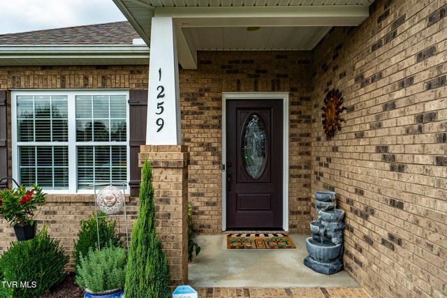 1259 Willow Springs Drive, Johnson City, TN 37604