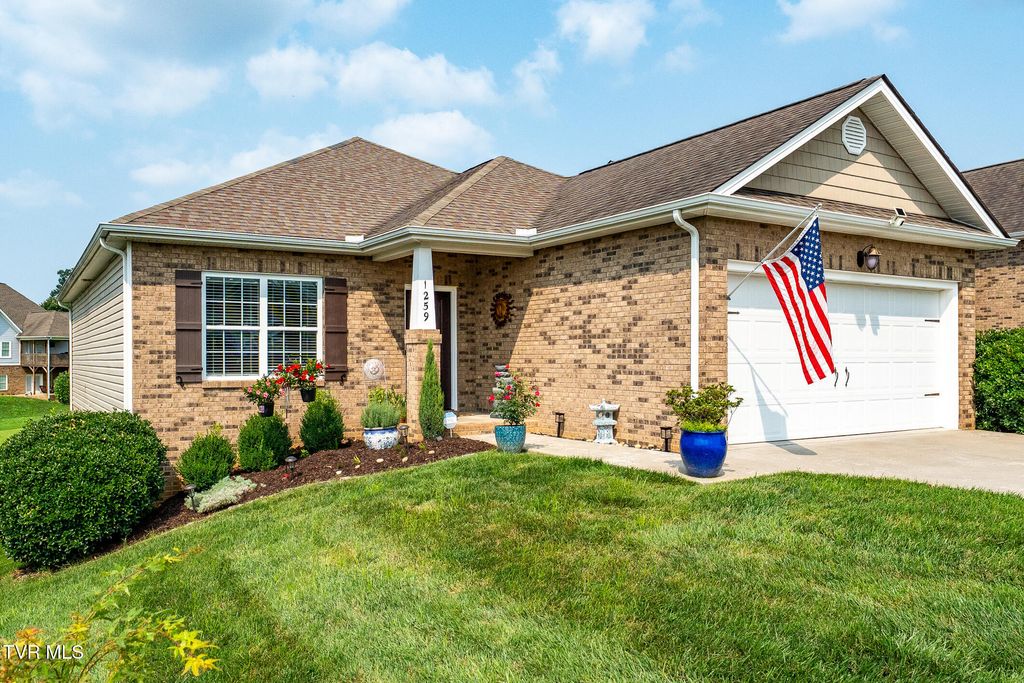 1259 Willow Springs Drive, Johnson City, TN 37604