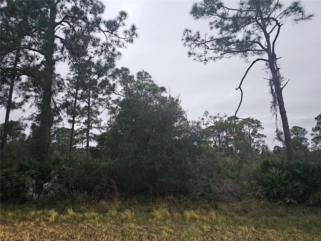 3129 LOCUST AVENUE, Lake Placid, FL 33852