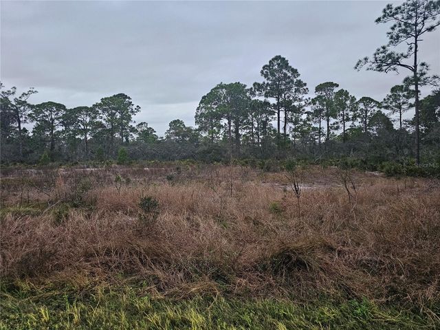 3129 LOCUST AVENUE, Lake Placid, FL 33852