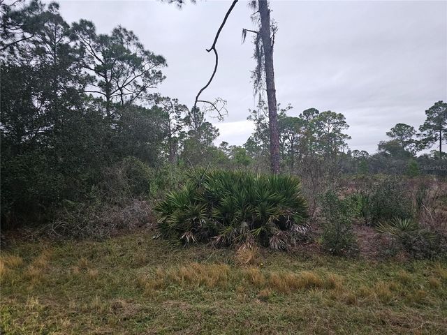 3129 LOCUST AVENUE, Lake Placid, FL 33852