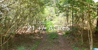 100 MCCOY MOUNTAIN ROAD, Hayden, AL 35079