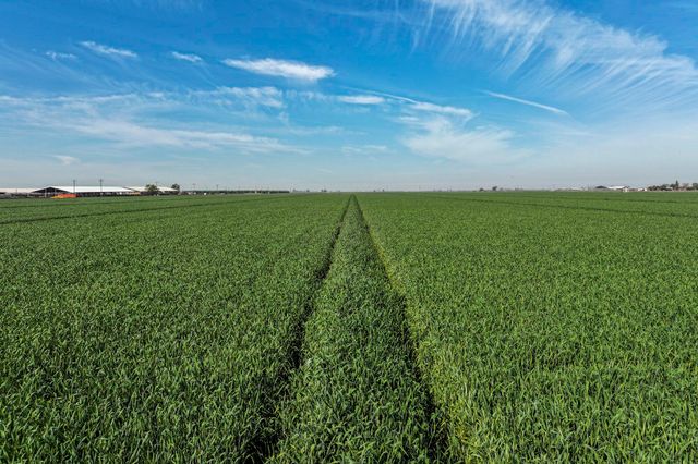 7550 Avenue 208, Tulare, CA 93274