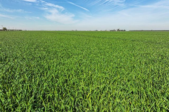 7550 Avenue 208, Tulare, CA 93274