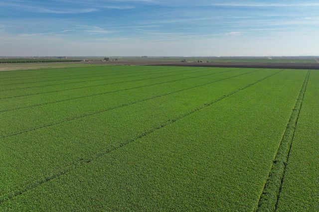 7550 Avenue 208, Tulare, CA 93274