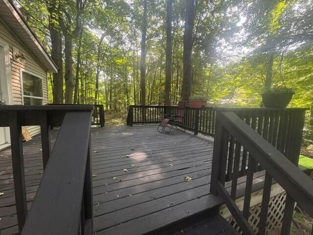 18412 Royena Drive, Marion, MI 49665