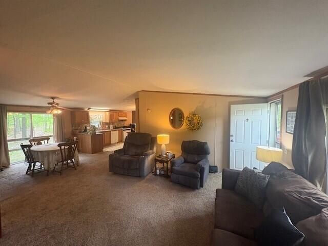 18412 Royena Drive, Marion, MI 49665