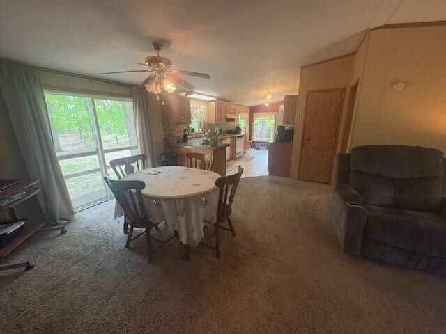 18412 Royena Drive, Marion, MI 49665