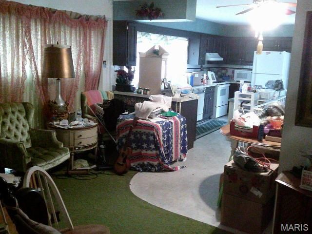 1559 Berry Dairy Road, De Soto, MO 63020