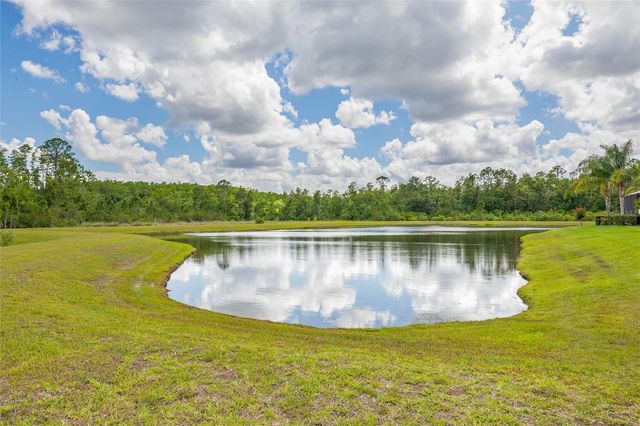 16712 COURTYARD LOOP, Land O Lakes, FL 34638