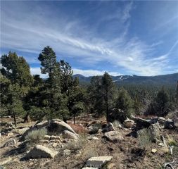 42535 Pegasus, Big Bear Lake, CA 92315