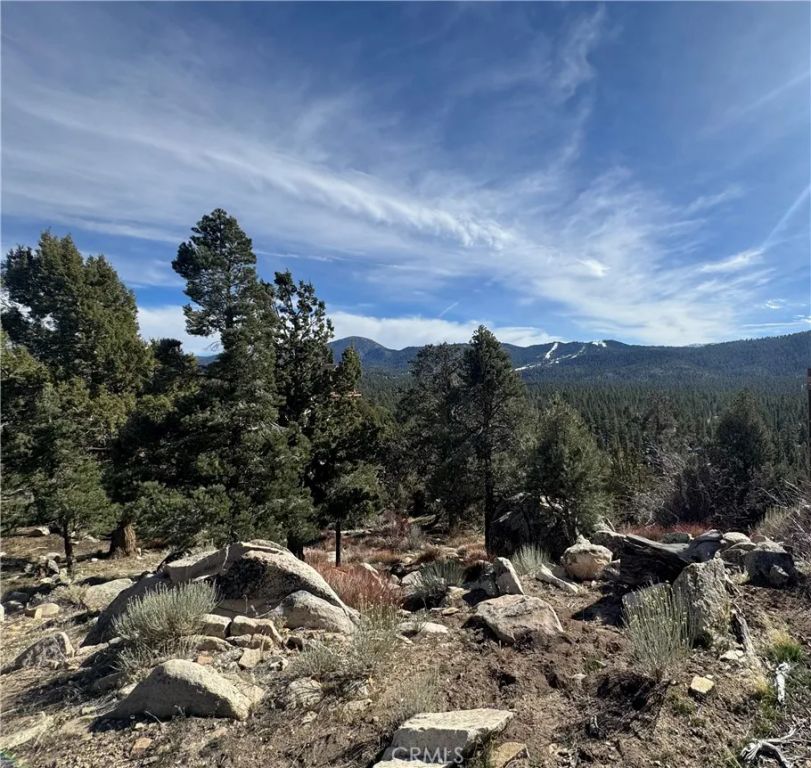 42535 Pegasus, Big Bear Lake, CA 92315