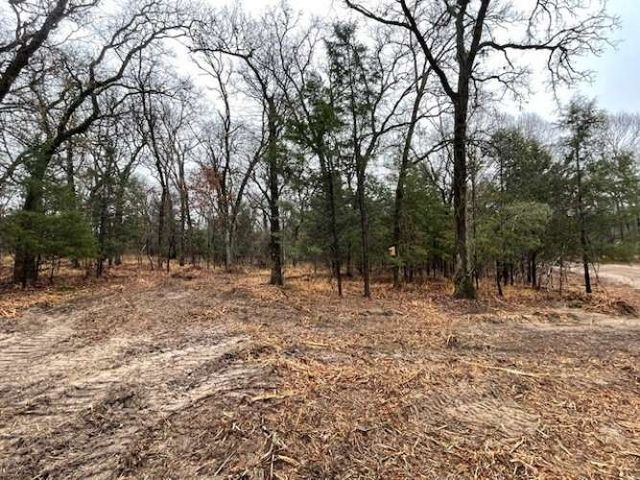 1291 RS CR 1150, Emory, TX 75440