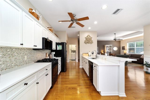 1726 LATTA COURT, The Villages, FL 32162