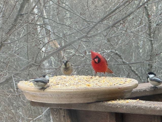 65 Brookdale Cir 65, Shrewsbury, MA 01545